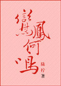 鸞鳳和鳴 小說封面